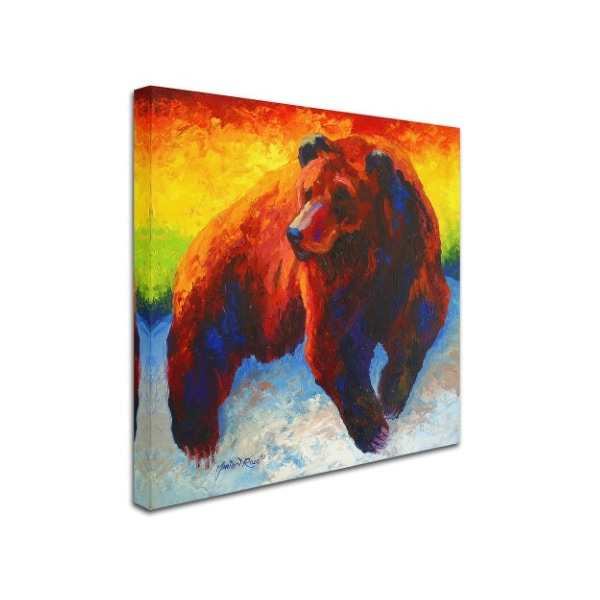 Marion Rose 'Lookout Grizz' Canvas Art,35x35